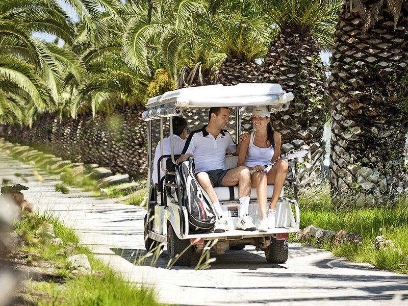 4C306C036D17D791903236B54BCBD204