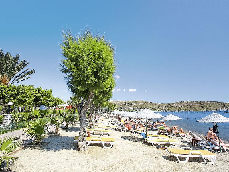 C9642A0A02D2F0564072E6888DEAC380