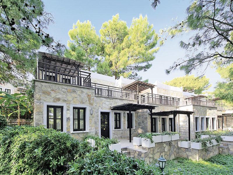 FE8481BD11F88DB9B38096356E91B613