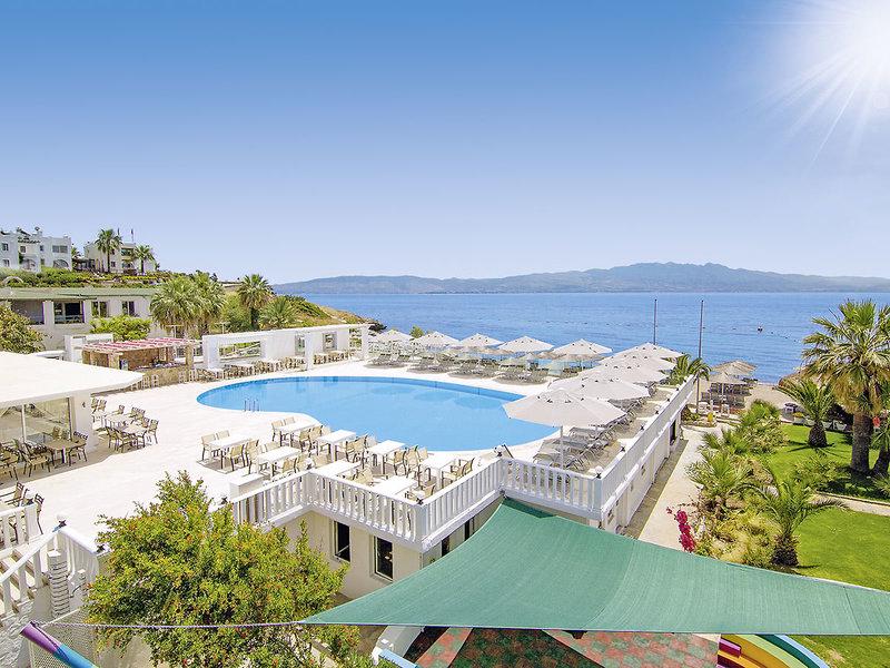 12AEFDAAF89F64474E85E5285CA8B1C6