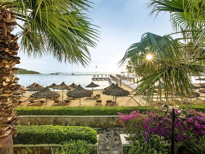 E786C8D8196B87CB93F9FDE7E9C44086