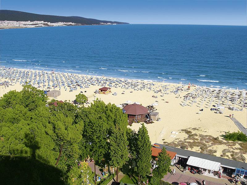 ECB11ACAC2BEED526124CD1C9BE94809