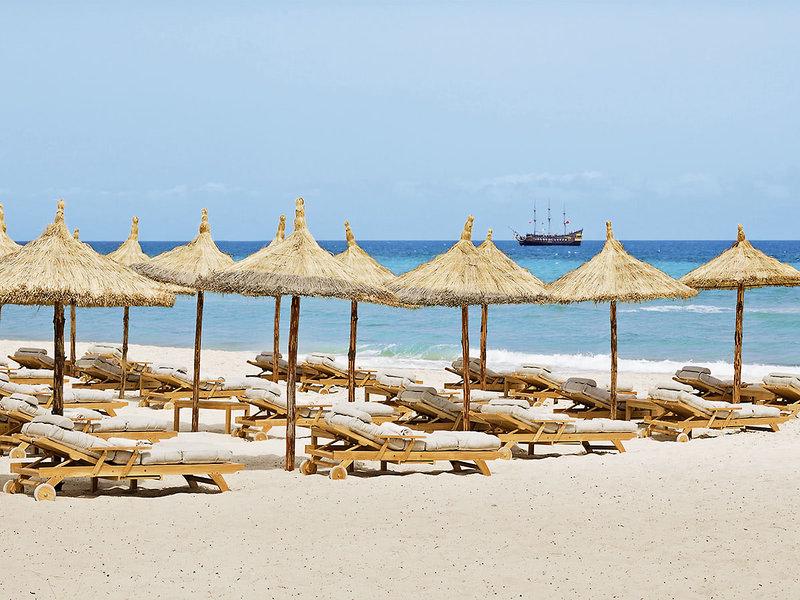 8EAFDD02871D4EAEE3E633039E3E59E6