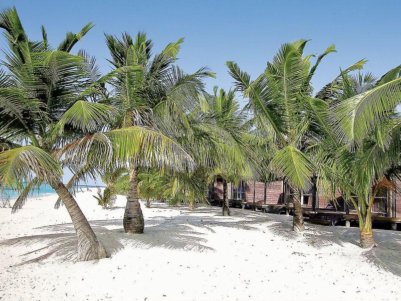 B7FDC9DB1D59B801C5BE60AC93D29795