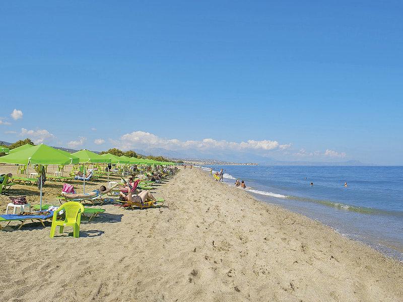 BED0349DD7C0B94C4A5E5325621BE8A8