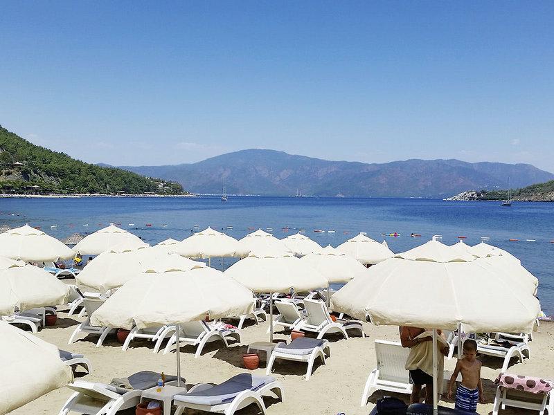 015D7CB09415E5EAB38D82B238766654