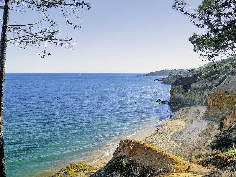 7C40B411919A030AF50DE4FE3C43FB09