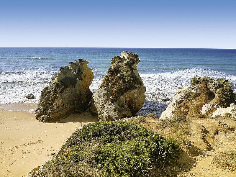 234FB6D2F606E51D1F55EE69380052F0