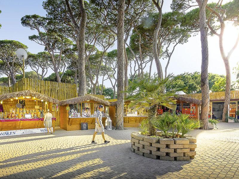 46620E38524B98BB0E2C86C3E50B6812