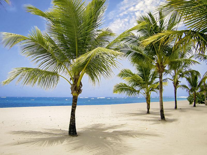 778392977264C55A51DEAAF72582EA4E