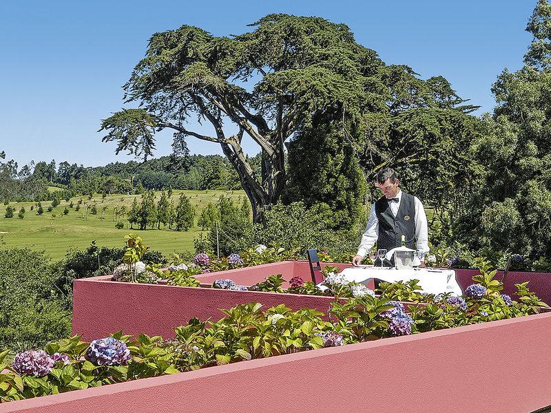 81C44FAB7D77D1CC0D6DA3DF60FDC0EA