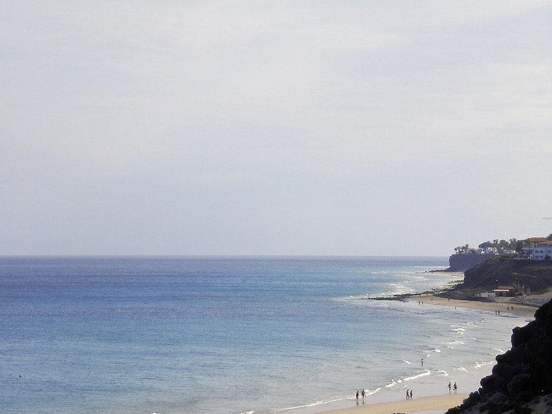 67C33C32231ECFED7D05875AF4A121A4