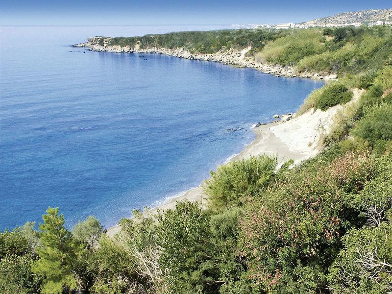 91ABA0C6BC9565CC82E2D8B59490E244