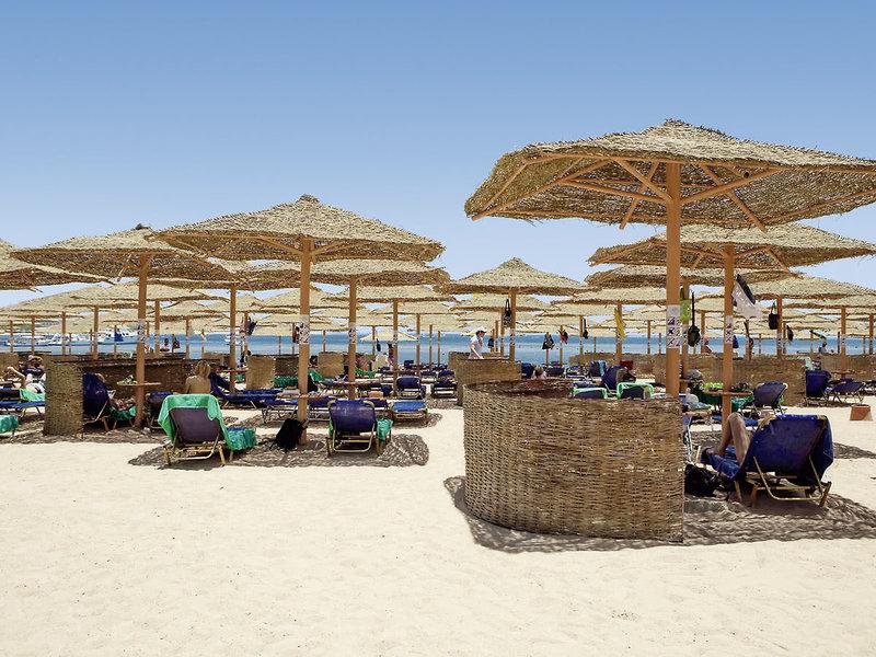 96E9F4E77AFBC45B2424D537CC1E0A5B