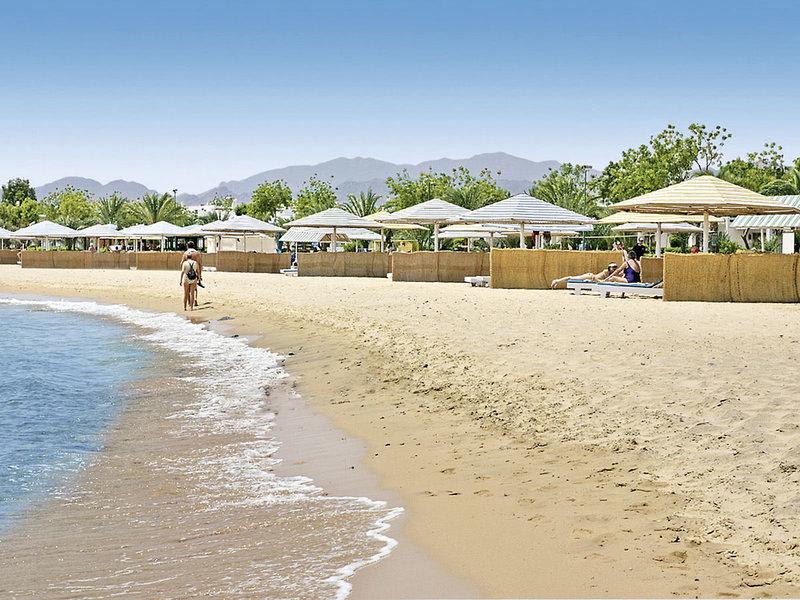 49C93580DCEA579B8866BF3F6D2FC40E