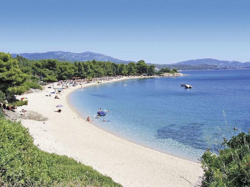 E3C8FA8F1F8ABFB8A6825DE578094759