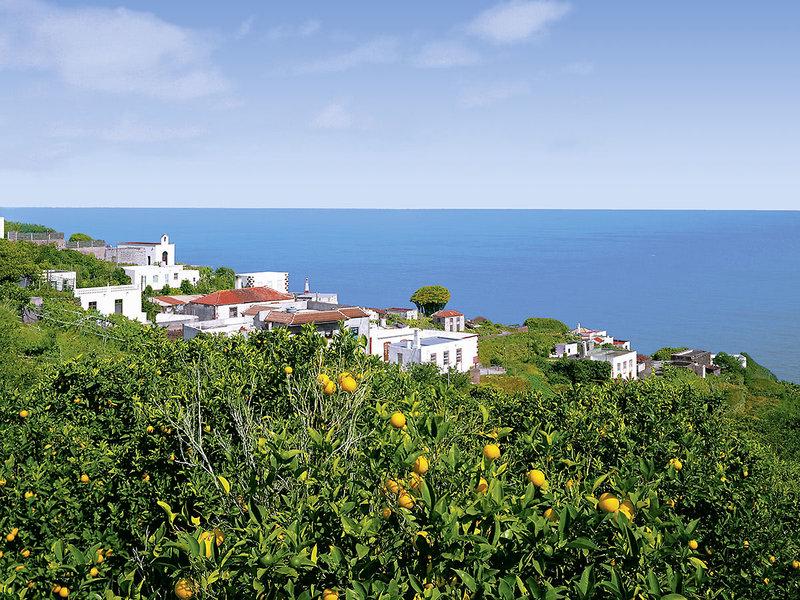 621FAC7A77C615297BC458E566A4D6F1