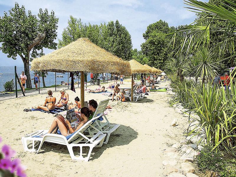 51B45B1953388756874727791AB5D13C