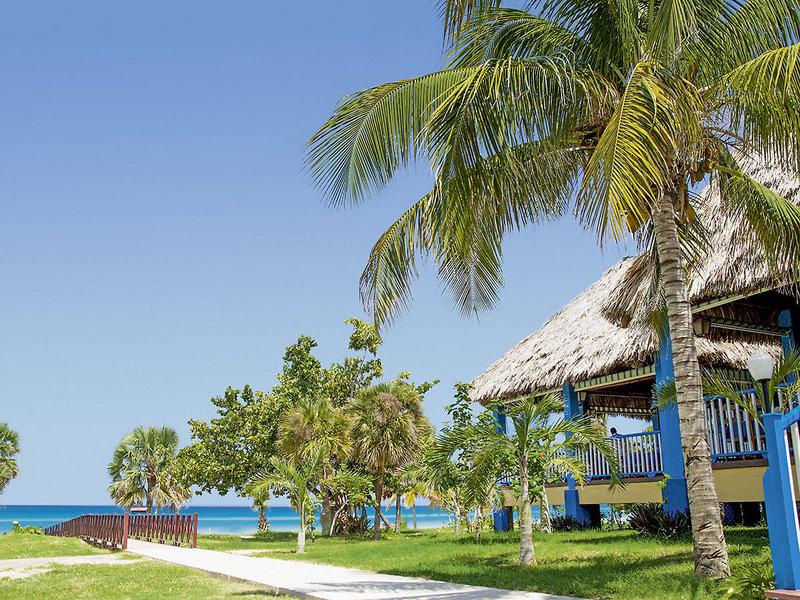 BA0CACE521E0A96180C19914784D685C