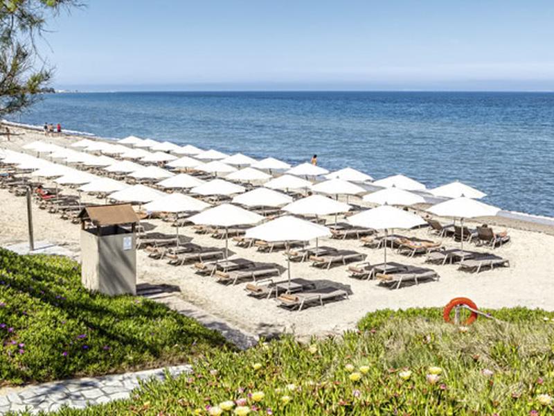 589E579C5E62FF6912666FB47BA2ED01