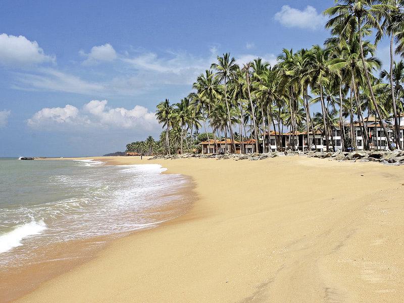 FDE230CF898E8C6365D1225CA251A961