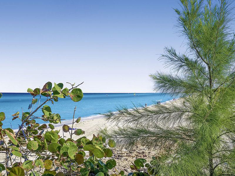 039EA4669FCA1D950DFBD2BD3EB2CE80