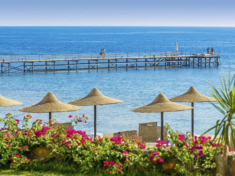 E6FC71AED0B60F2E53EF90D6946BF515