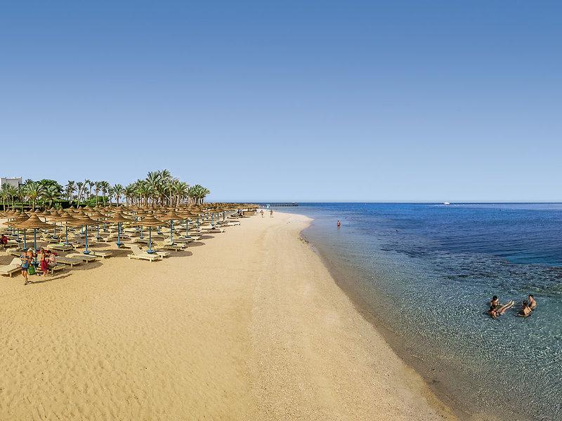 099C3449AC187DC5B6616EC6A8393EBF