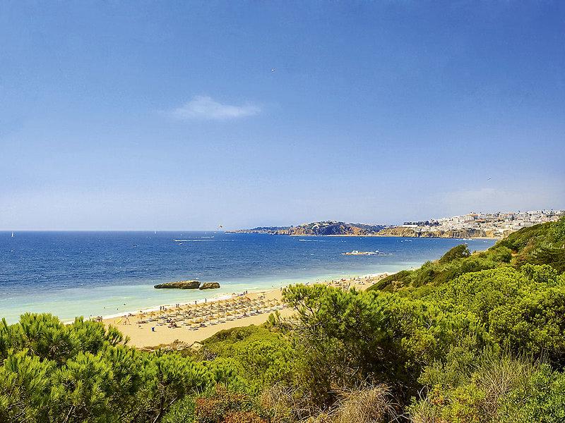 CF42D9A0C8FFF259D49326EAEF44692D