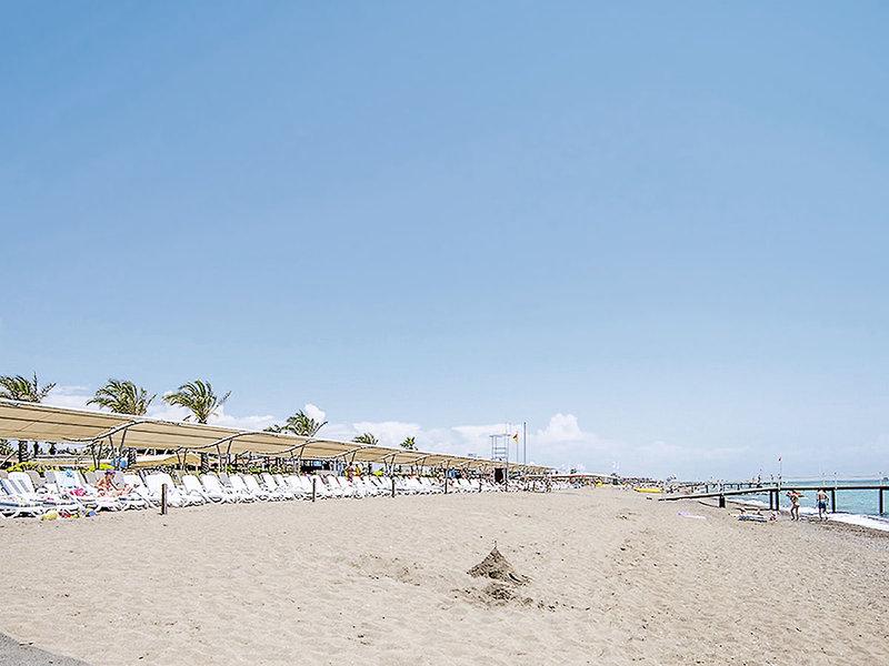 EE8CA4C7B2050387246147D03A718811