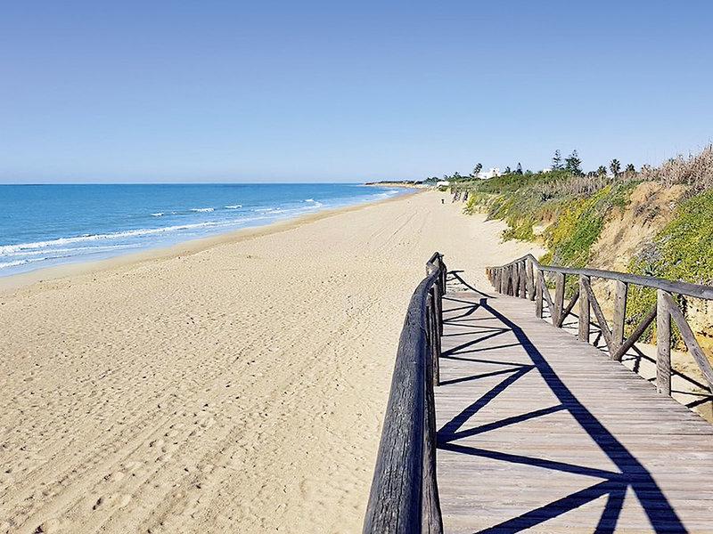 E38631B20DB3E93D211FC0DA9C7FDFCF