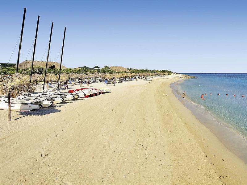 D252392E608EF72BA8E9CC98D7404DDE