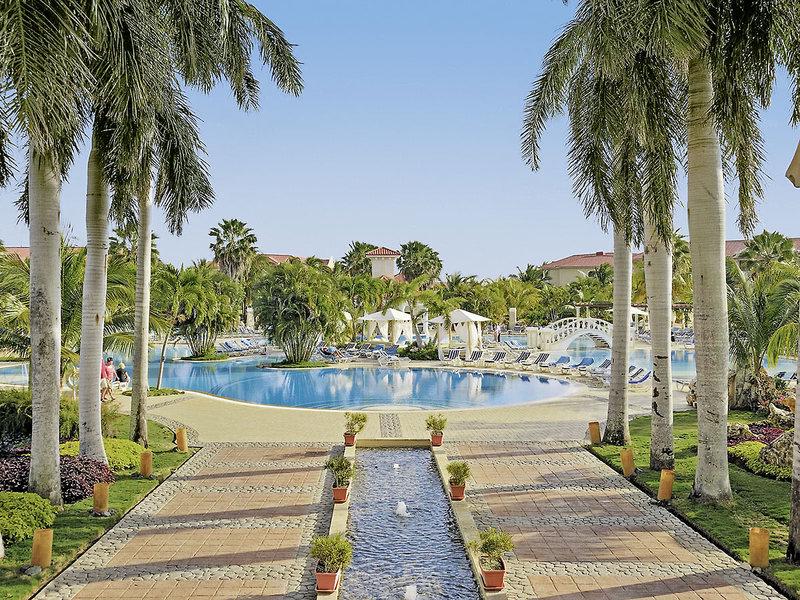 A3705C85A202BEE0865062CCB11F6F8D