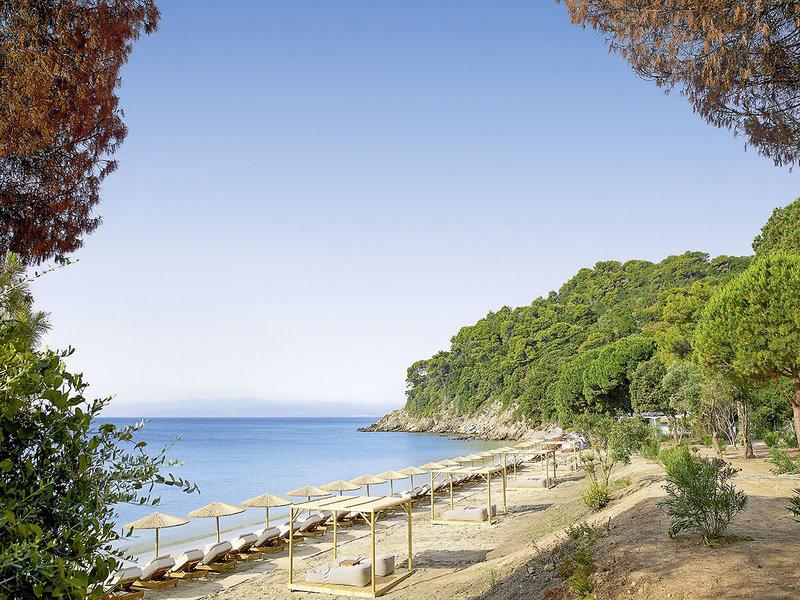 DACCFF5C9D7BB906AF2D88084AB98144