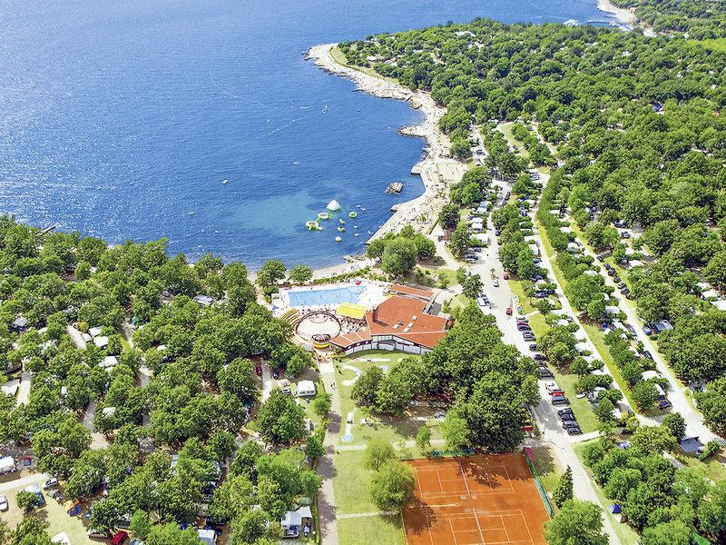 72D29D19FF005538EF5CB4458C5A2BC1