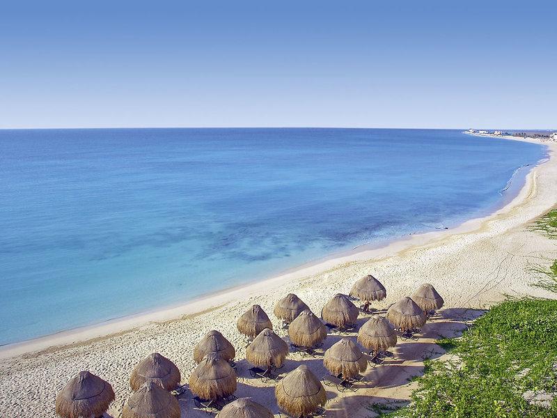 53BAD7DAA84E847488F85308E5853A4B