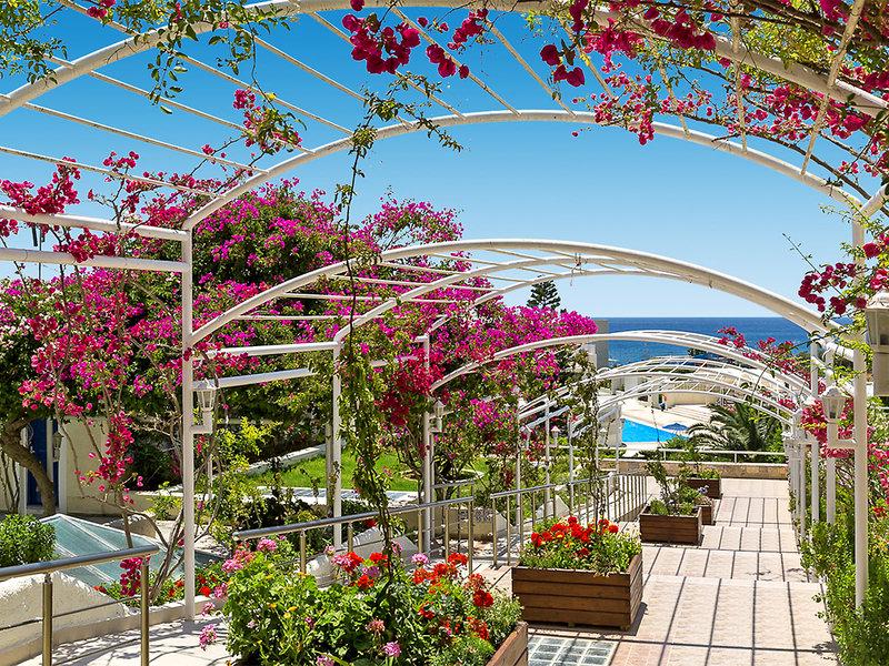 2C5E2543E8BD07F2EF0AD0DA950D6E65