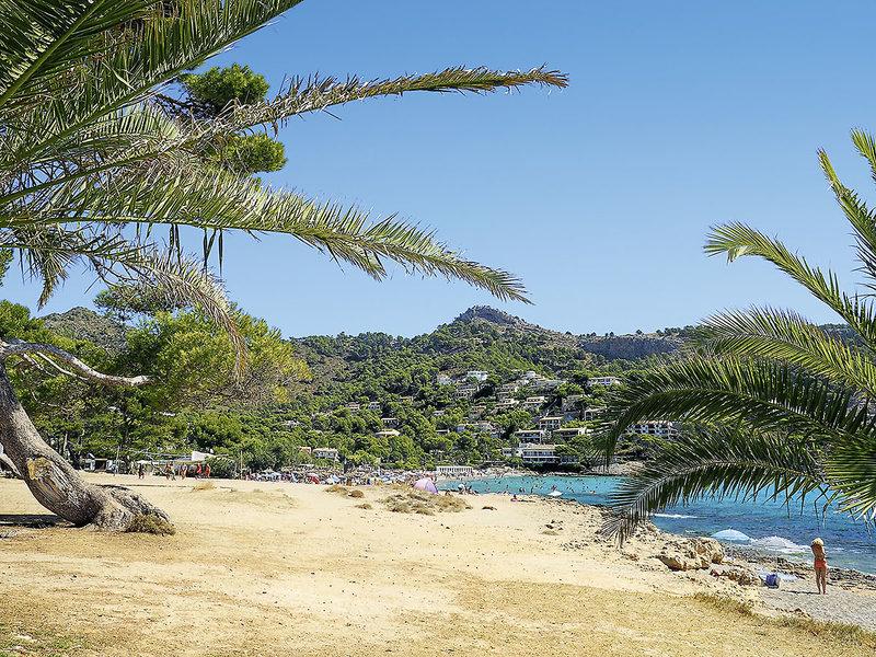 350EE46408E856E8867D18439E608C03