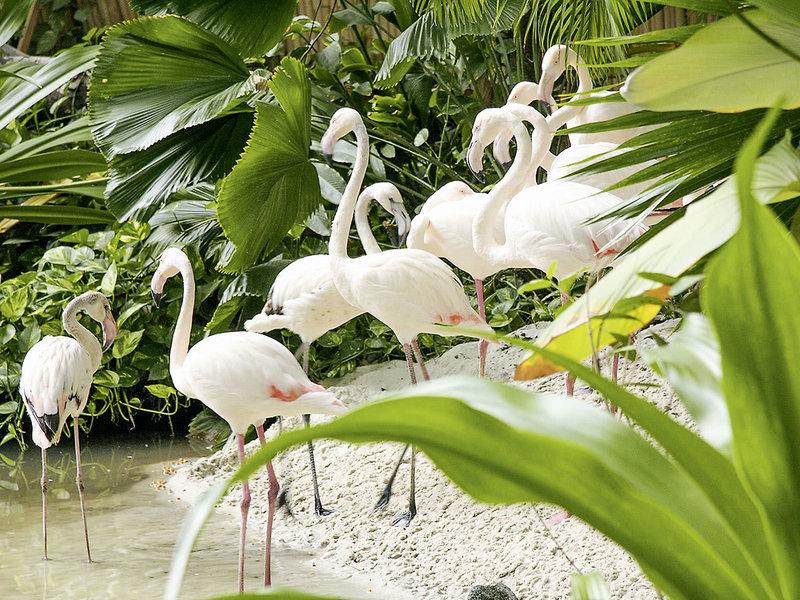 E83A126E6763A50AB00840E24491A22F