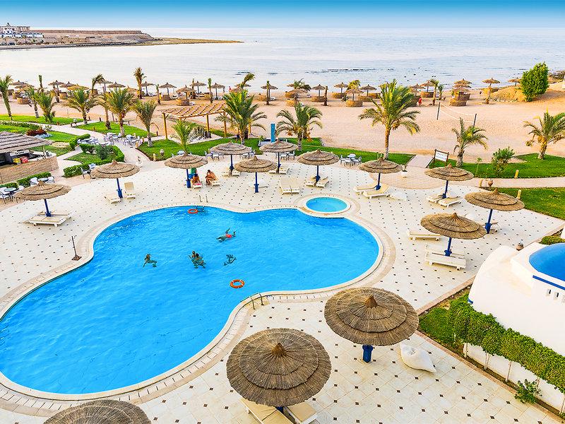 0D9CDEF5986D76469E7DCDD3EC6C13F8