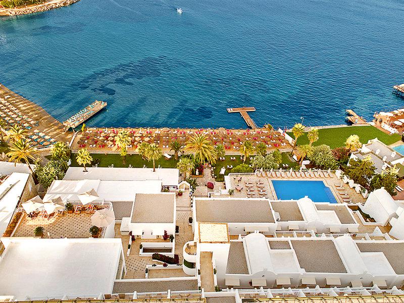 0229F17EB912C7D74D1ECC0D9989E045