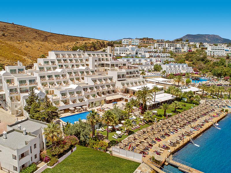 499954B428467816094D29987599512C