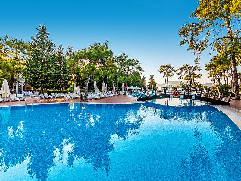 A0C78BD19F4E9E90B618F7DD53F6C405