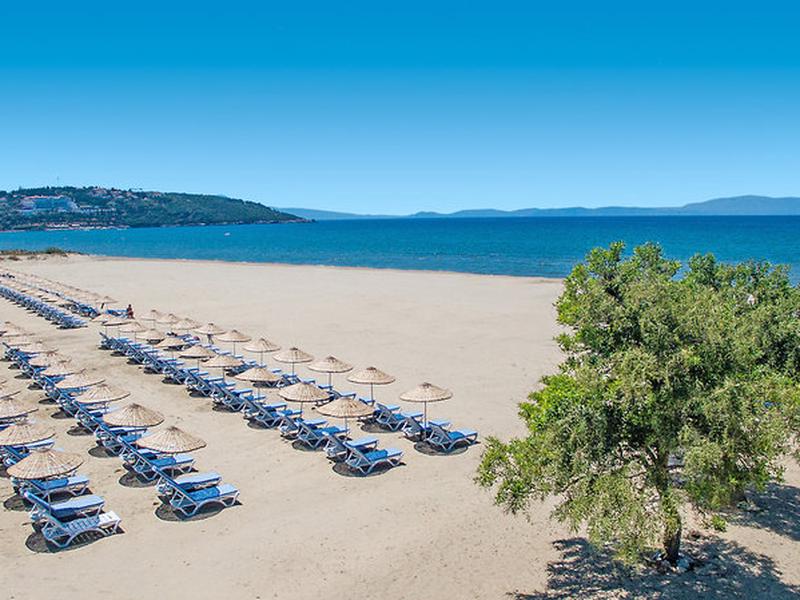 5B531BCB2F4A668EF2CE02A671F0222A