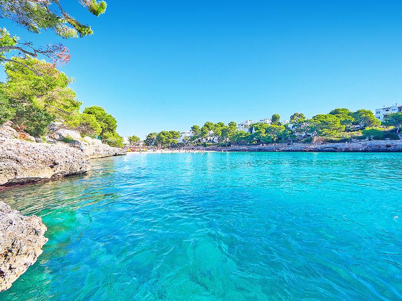 DCB222F199A87245DBAAB16B50D46723