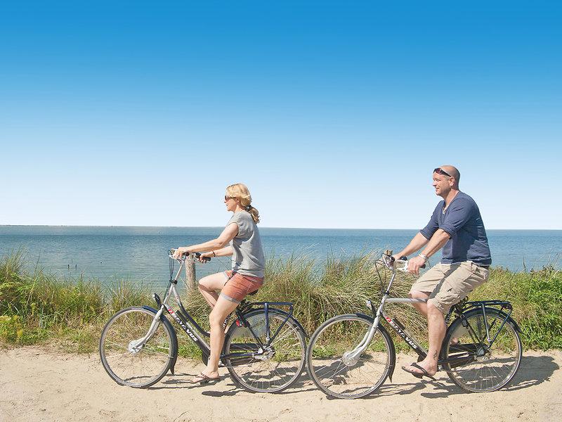 55ACFAB3A24CF399E094063B829F2A11