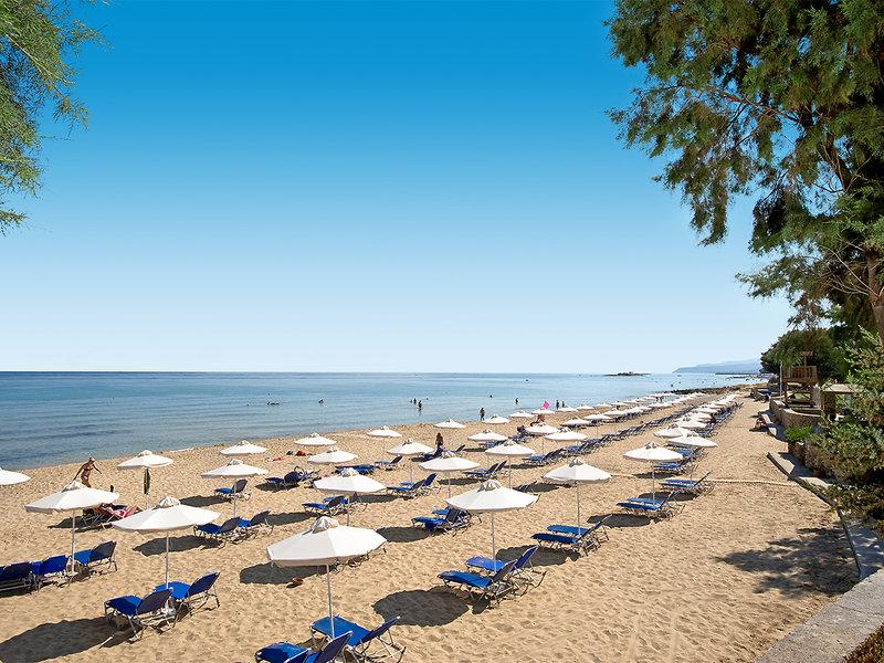 C8CD9F2099536D5B68349EEF55D36630