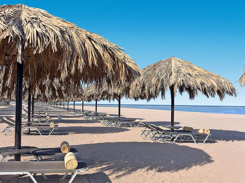 0A7C764CBCDB5F6365090F799E1ED8C7