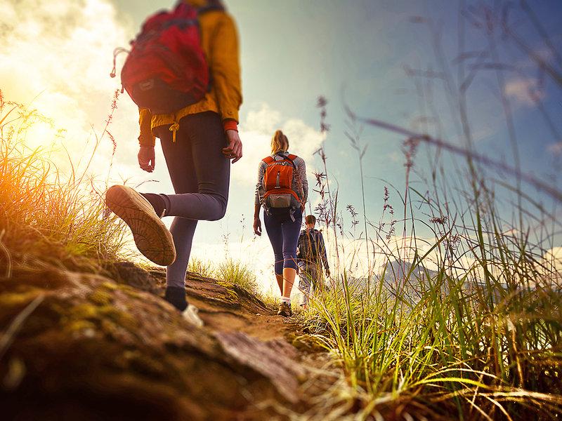 2EAD2DE0CEB7D8F2AEE46DF6F252A432