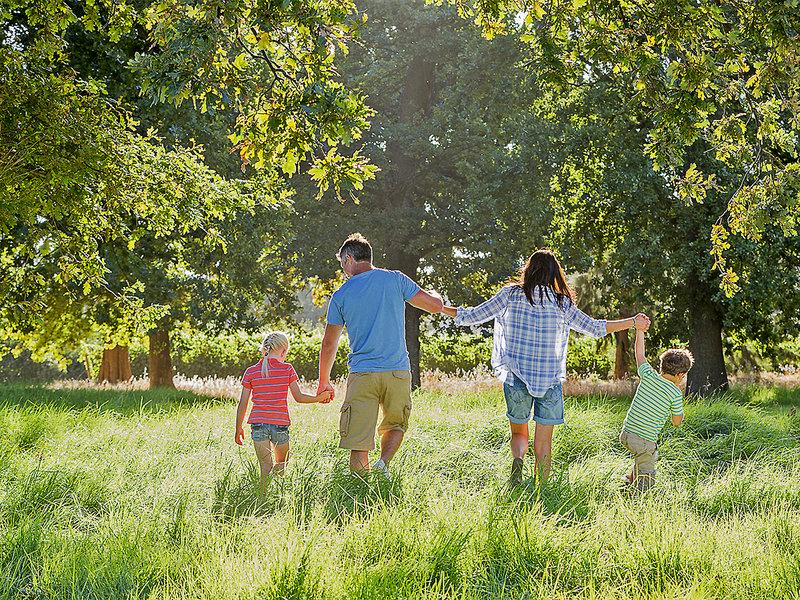 BDD206AA31970513F6DC0D228C8A2C3B